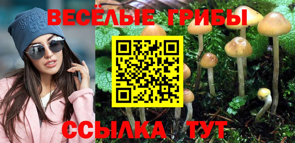 Псилоцибиновые грибы прущие грибы Россошь