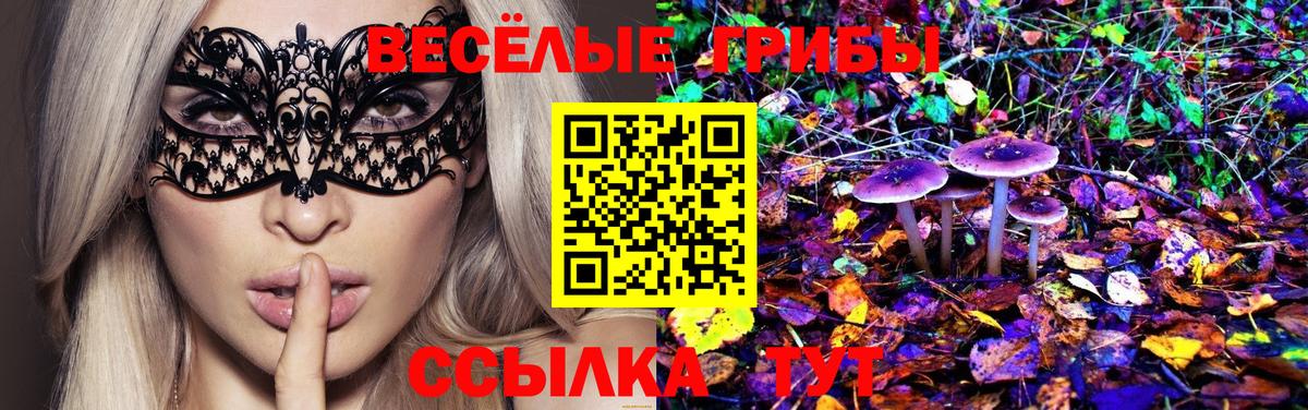 Галлюциногенные грибы мицелий  Вход с VPN  Россошь 